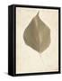 Single Leaf-Amy Melious-Framed Stretched Canvas