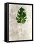 Single Leaf-Chamira Young-Framed Stretched Canvas