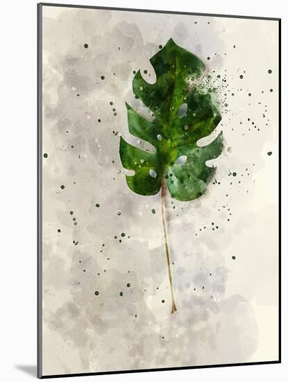 Single Leaf-Chamira Young-Mounted Art Print