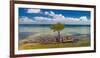 Single Mangrove tree in the Gulf of Mexico in the Florida Keys, Florida, USA-null-Framed Photographic Print