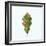 Single Oak Leaf-Clive Nolan-Framed Photographic Print
