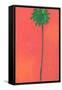 Single Palm Looking for Love-Jan Weiss-Framed Stretched Canvas