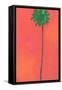 Single Palm Looking for Love-Jan Weiss-Framed Stretched Canvas