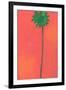 Single Palm Looking for Love-Jan Weiss-Framed Art Print