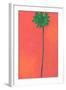 Single Palm Looking for Love-Jan Weiss-Framed Art Print