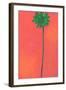 Single Palm Looking for Love-Jan Weiss-Framed Art Print