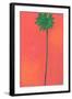 Single Palm Looking for Love-Jan Weiss-Framed Art Print