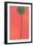 Single Palm Looking for Love-Jan Weiss-Framed Art Print