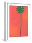 Single Palm Looking for Love-Jan Weiss-Framed Art Print