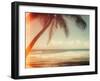 Single Palm-Acosta-Framed Art Print