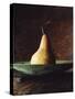 Single Pear in Bowl-David Jay Zimmerman-Stretched Canvas