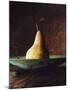 Single Pear in Bowl-David Jay Zimmerman-Mounted Photographic Print