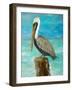 Single Pelican on Post-Julie DeRice-Framed Art Print