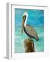 Single Pelican on Post-Julie DeRice-Framed Art Print