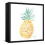 Single Pineapple-Nola James-Framed Stretched Canvas