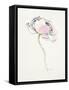 Single Pink Somniferum I-Shirley Novak-Framed Stretched Canvas