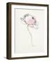 Single Pink Somniferum I-Shirley Novak-Framed Art Print