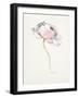 Single Pink Somniferum I-Shirley Novak-Framed Art Print