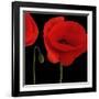 Single Poppy-Tom Quartermaine-Framed Giclee Print