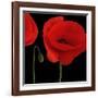 Single Poppy-Tom Quartermaine-Framed Giclee Print