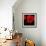 Single Poppy-Tom Quartermaine-Framed Giclee Print displayed on a wall