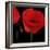 Single Poppy-Tom Quartermaine-Framed Giclee Print