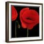 Single Poppy-Tom Quartermaine-Framed Giclee Print