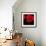 Single Poppy-Tom Quartermaine-Framed Giclee Print displayed on a wall