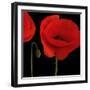 Single Poppy-Tom Quartermaine-Framed Giclee Print