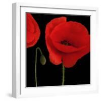 Single Poppy-Tom Quartermaine-Framed Giclee Print