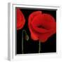 Single Poppy-Tom Quartermaine-Framed Giclee Print