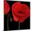Single Poppy-Tom Quartermaine-Mounted Giclee Print