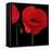 Single Poppy-Tom Quartermaine-Framed Stretched Canvas