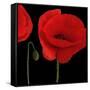 Single Poppy-Tom Quartermaine-Framed Stretched Canvas