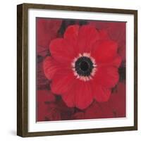 Single Red Anemone-Ivo-Framed Art Print