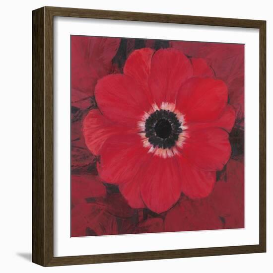 Single Red Anemone-Ivo-Framed Art Print