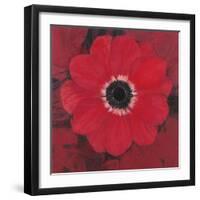 Single Red Anemone-Ivo-Framed Art Print