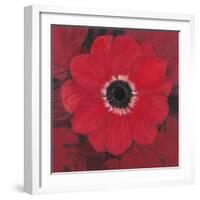 Single Red Anemone-Ivo-Framed Art Print