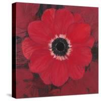 Single Red Anemone-Ivo-Stretched Canvas