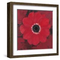 Single Red Anemone-Ivo-Framed Art Print