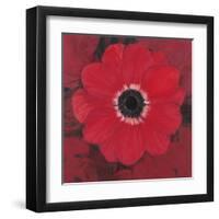 Single Red Anemone-Ivo-Framed Art Print