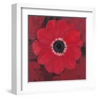 Single Red Anemone-Ivo-Framed Art Print