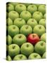 Single Red Apple Among a Number of Green Apples-John Miller-Stretched Canvas