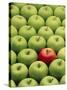 Single Red Apple Among a Number of Green Apples-John Miller-Stretched Canvas