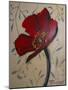 Single Red Poppy-Cherie Roe Dirksen-Mounted Giclee Print