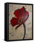 Single Red Poppy-Cherie Roe Dirksen-Framed Stretched Canvas