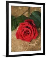 Single Red Rose on Stone Floor-Clive Nichols-Framed Photographic Print