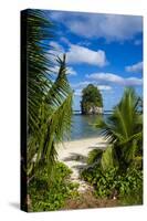 Single Rock at Coconut Point on Tutuila Island, American Samoa, South Pacific, Pacific-Michael Runkel-Stretched Canvas