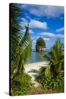 Single Rock at Coconut Point on Tutuila Island, American Samoa, South Pacific, Pacific-Michael Runkel-Stretched Canvas