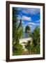 Single Rock at Coconut Point on Tutuila Island, American Samoa, South Pacific, Pacific-Michael Runkel-Framed Photographic Print